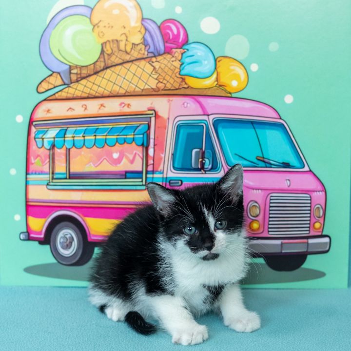 Hot Fudge 4