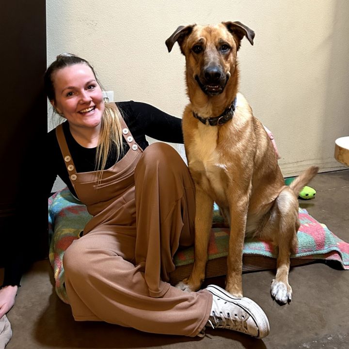 Chip - Loves People & Dogs 5