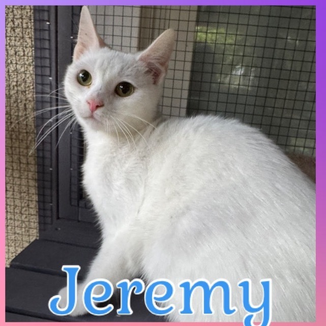 Jeremy