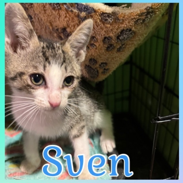 Sven 1