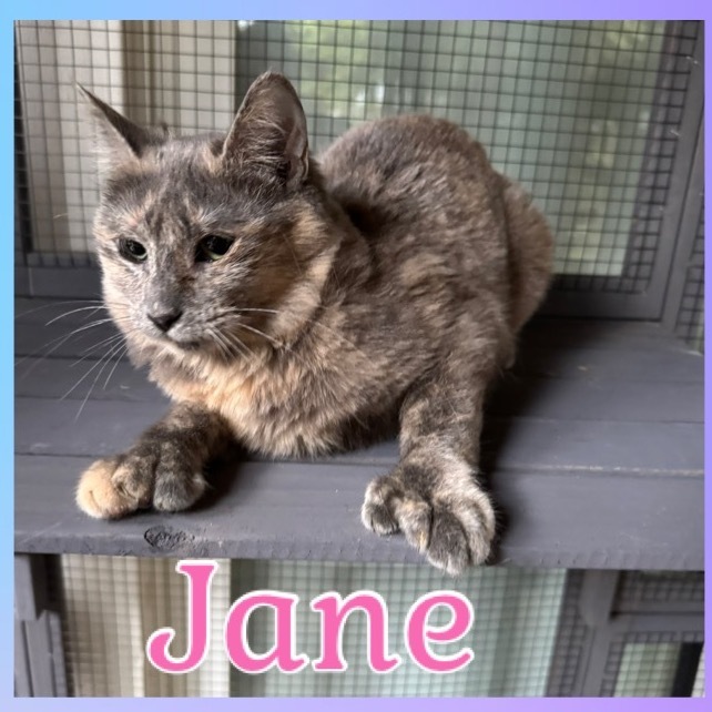 Jane 1