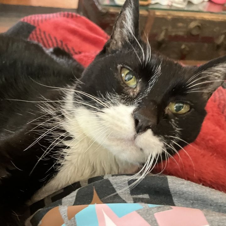 Cuddles 5