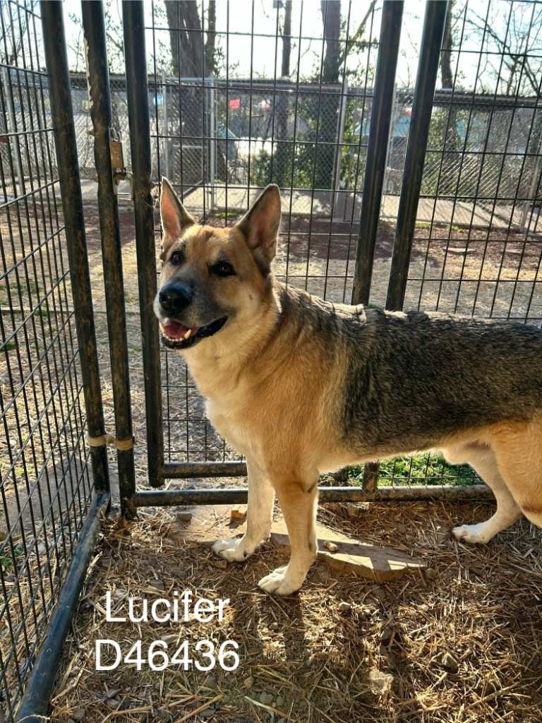 Lucifer