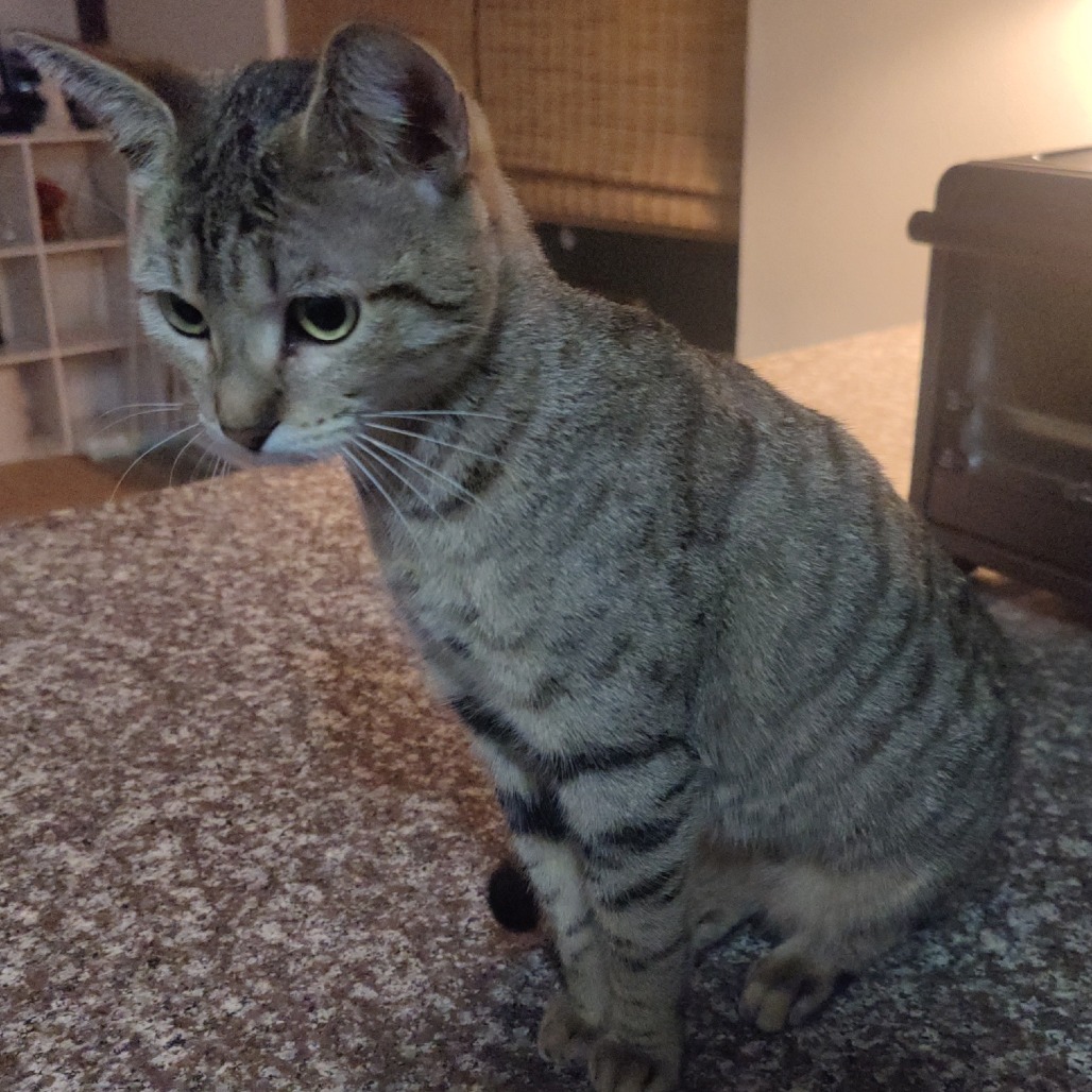 Tara