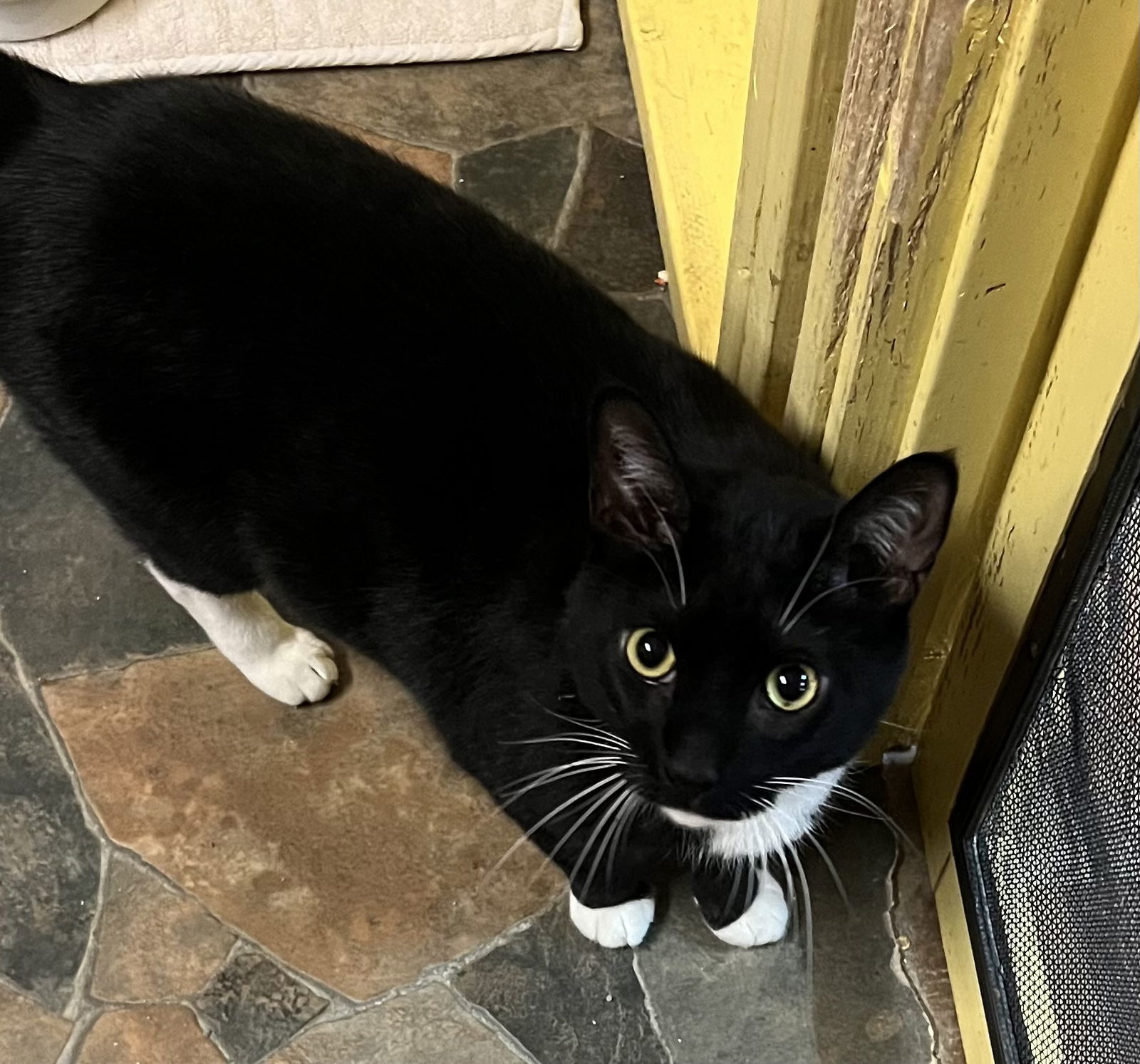 Binx