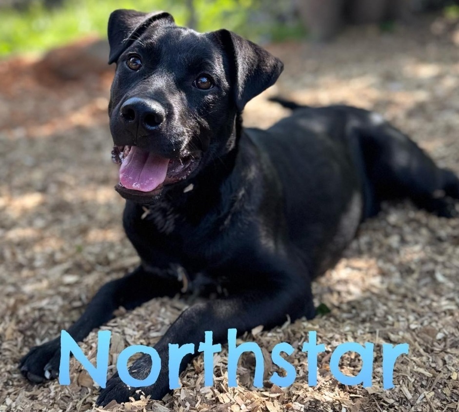 Northstar