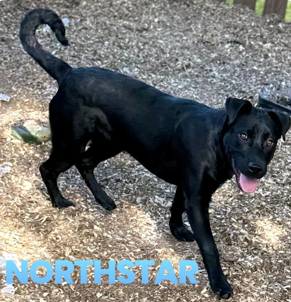 Northstar