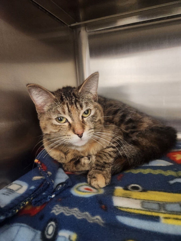 Juno