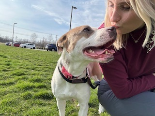 Lola Jean (in foster)