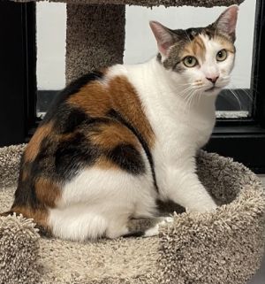 Chloe
