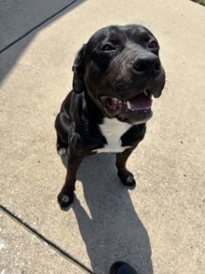 Benny