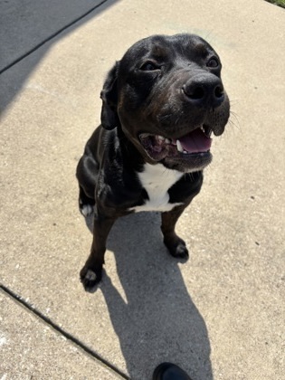 Benny