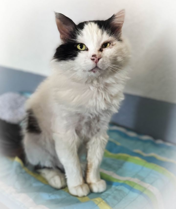 Whitey 1