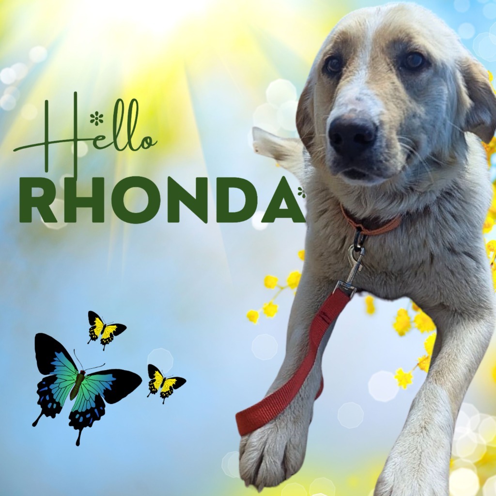 Rhonda
