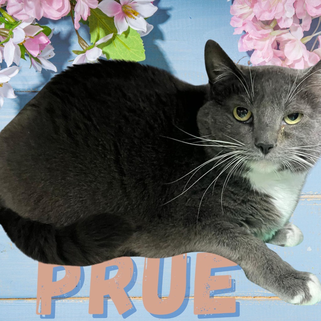 Prue