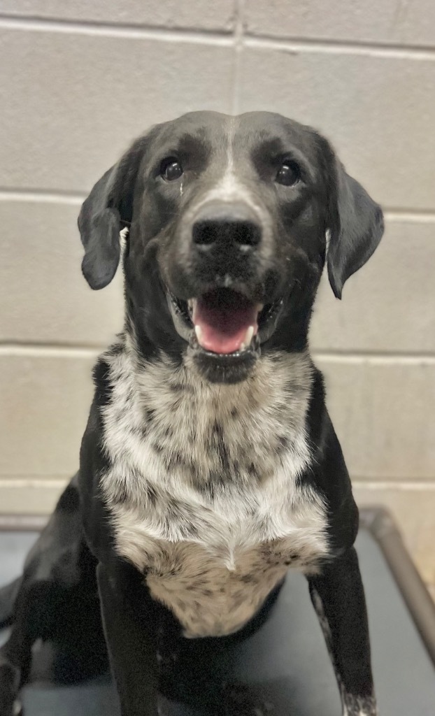Snoop Dog