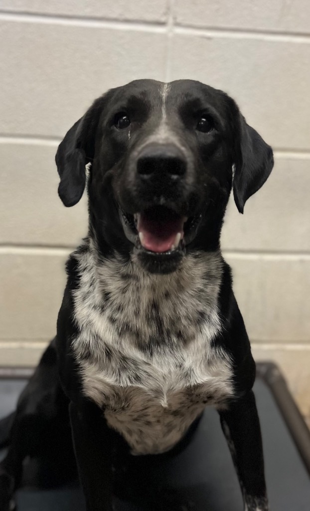 Snoop Dog