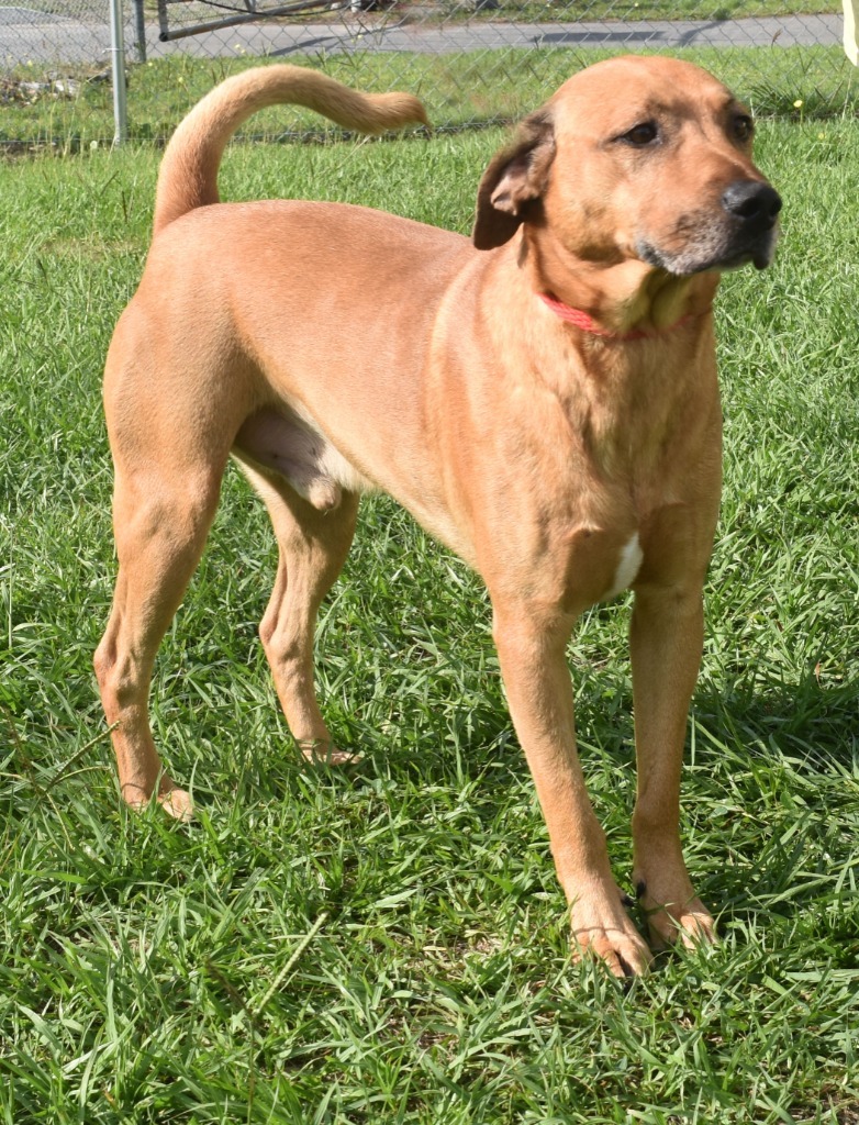 Ragnar
