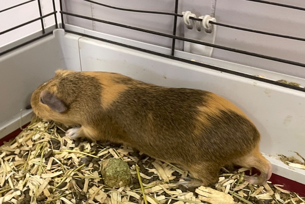 Edna