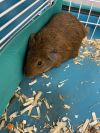 Edith photo 1