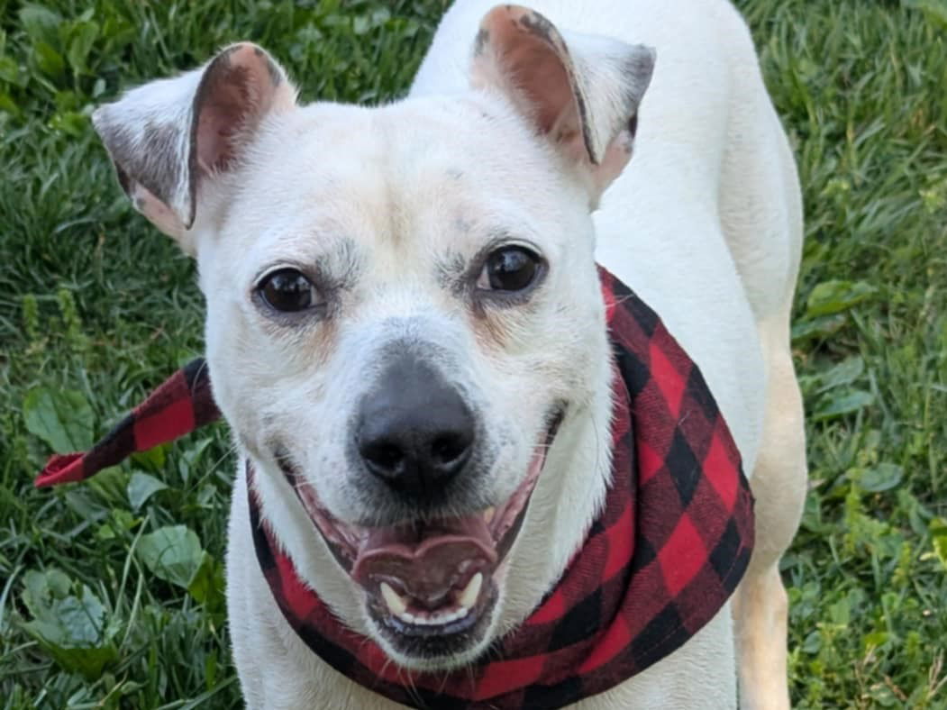 Casper - MEET @ PETCO 7/5!