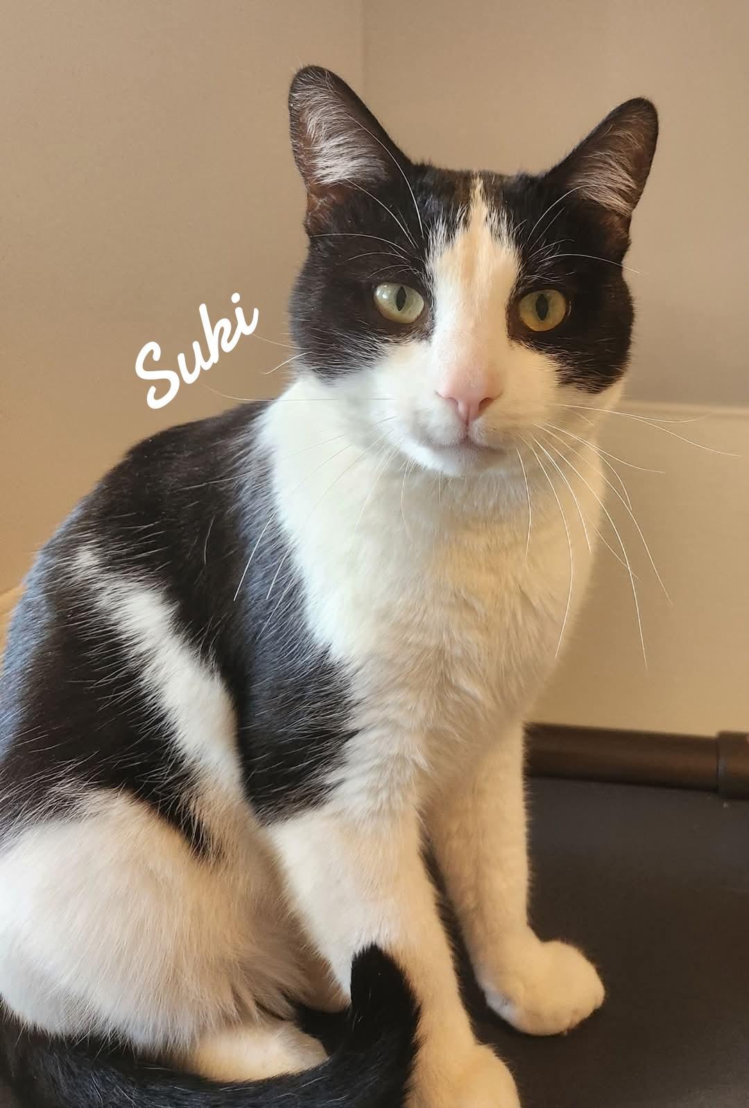 Suki