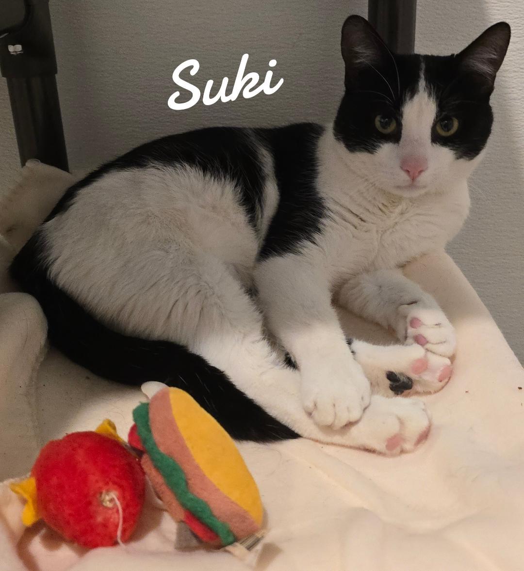 Suki