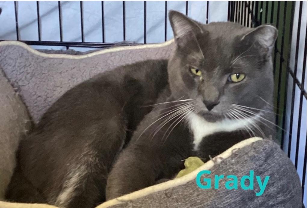 GRADY