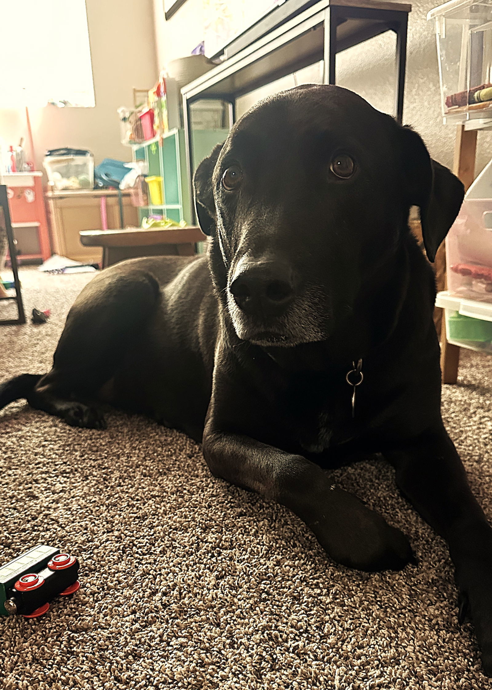 Jax