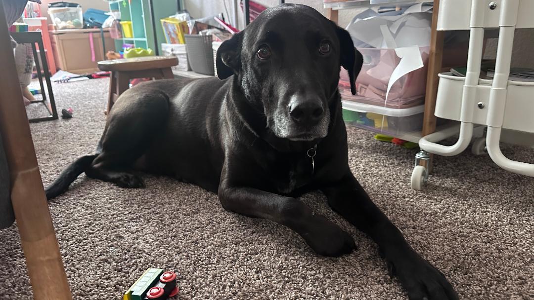 Jax