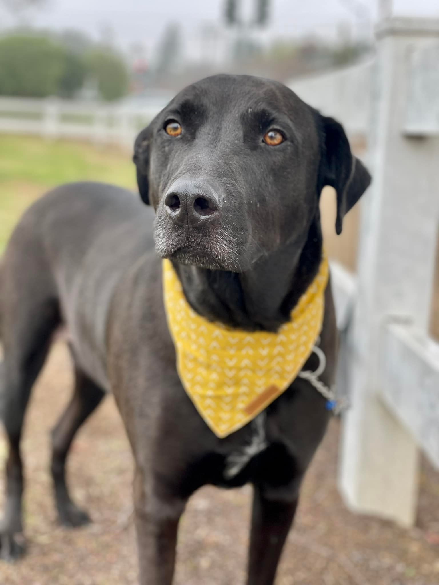 Jax