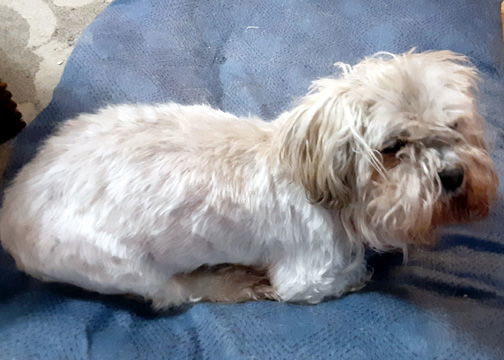 EINSTEIN