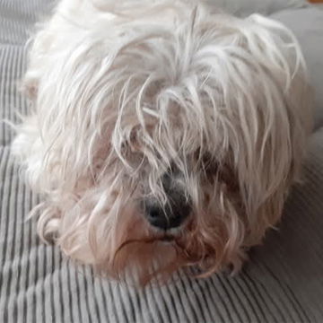 EINSTEIN