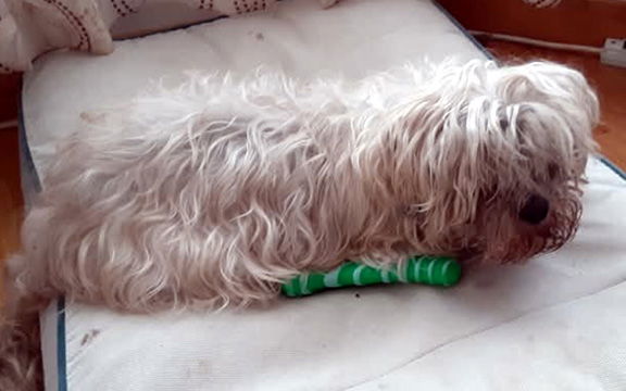 EINSTEIN