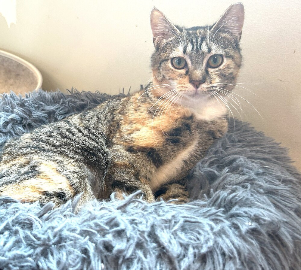Mia