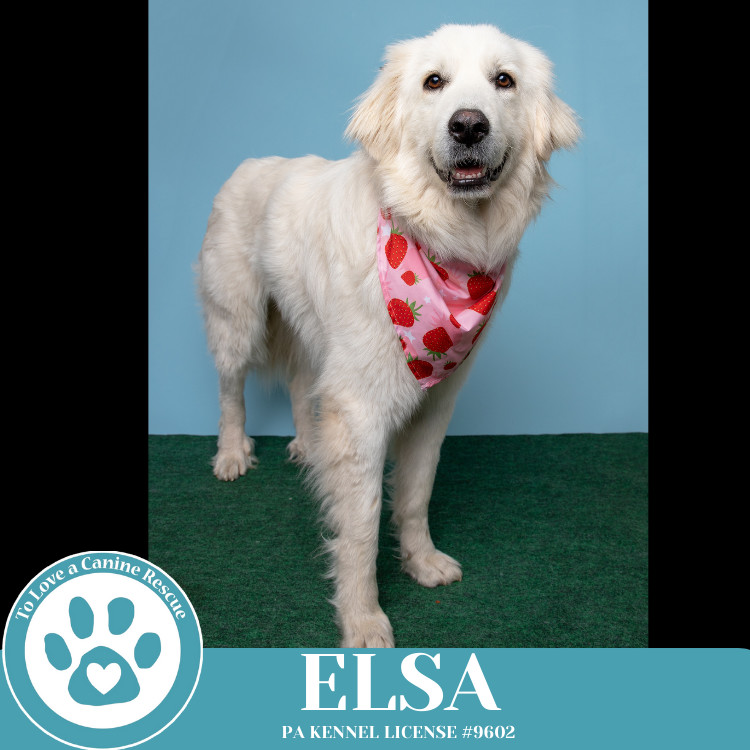 Elsa 021525