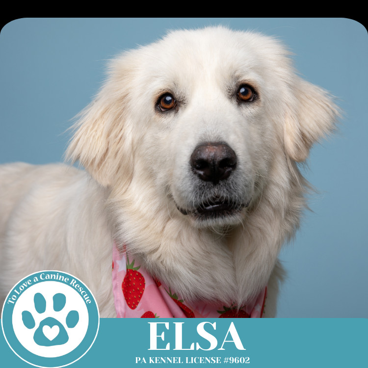 Elsa 021525