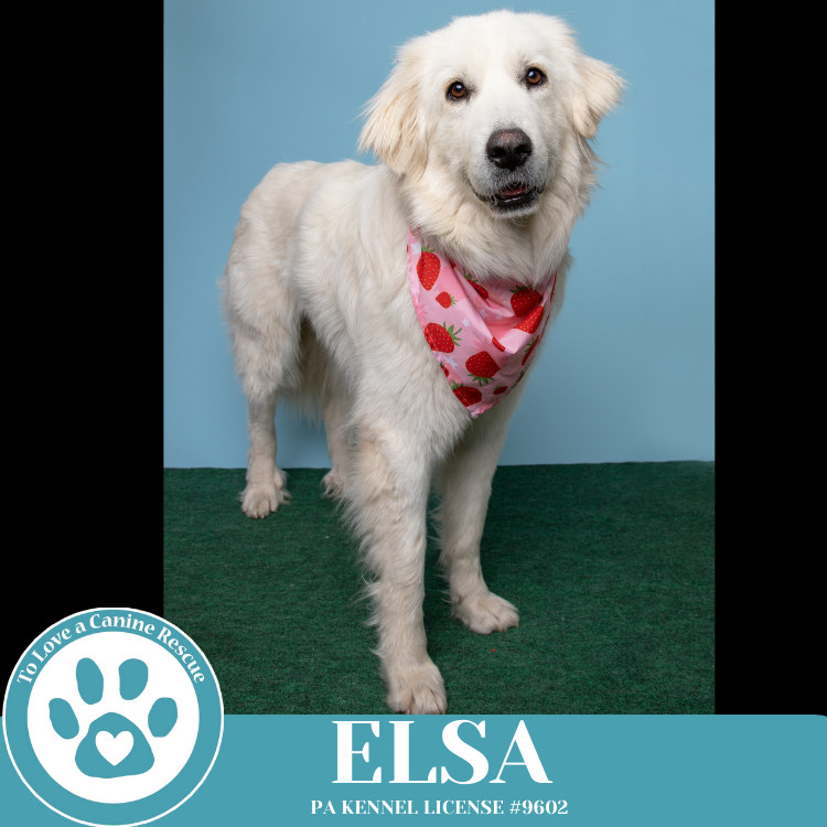 Elsa 021525