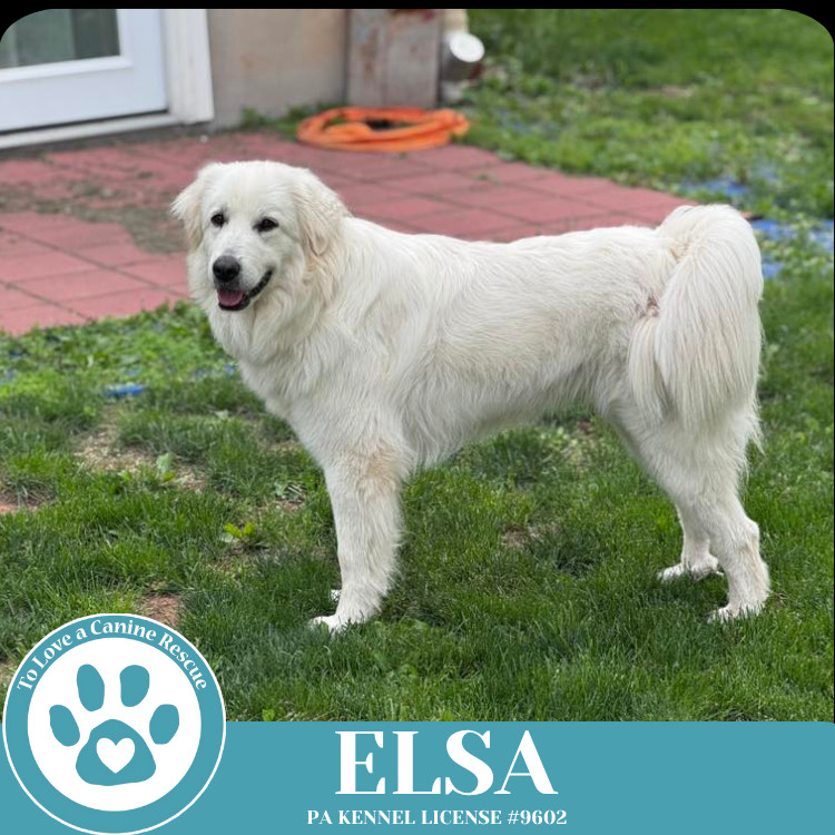 Elsa 021525