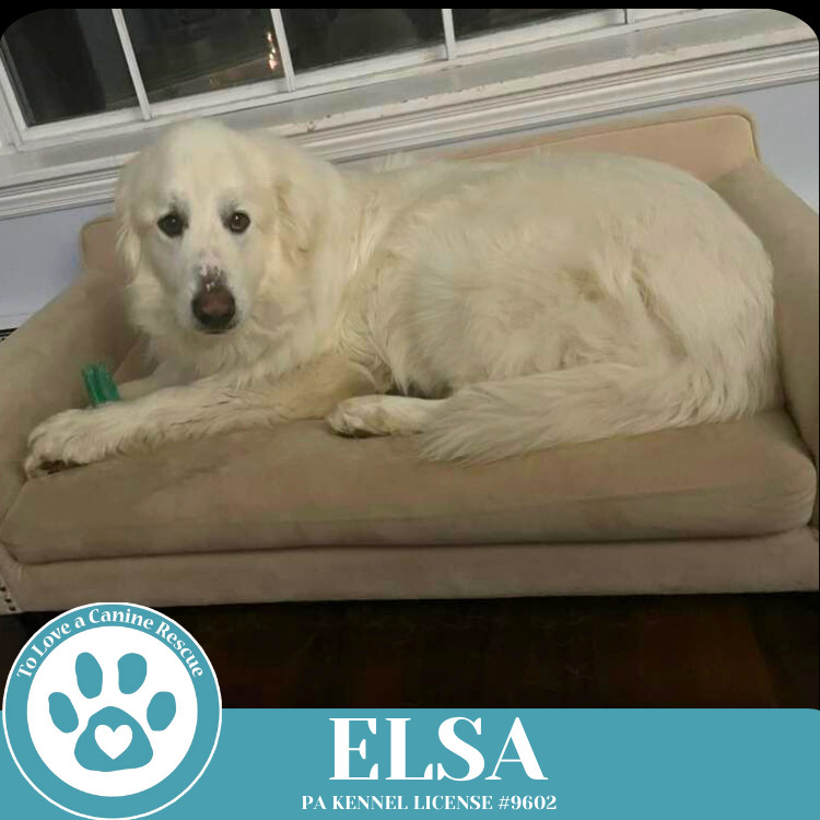 Elsa 021525