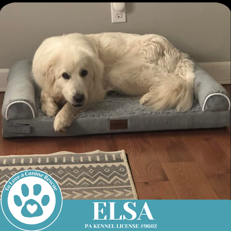 Elsa 021525