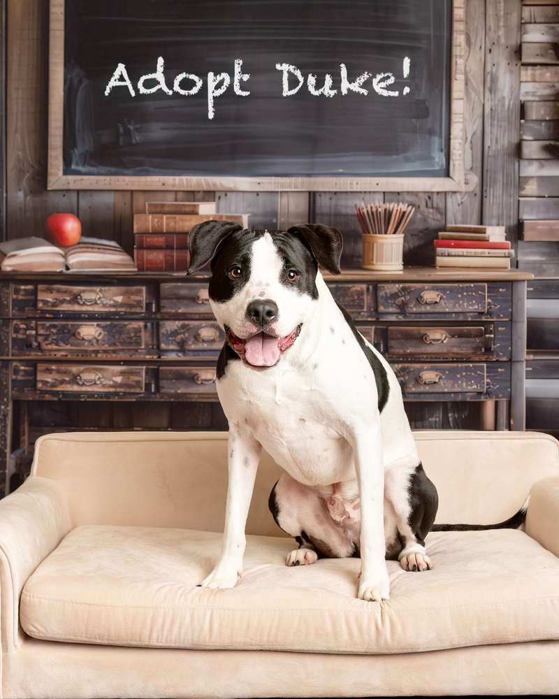 Duke