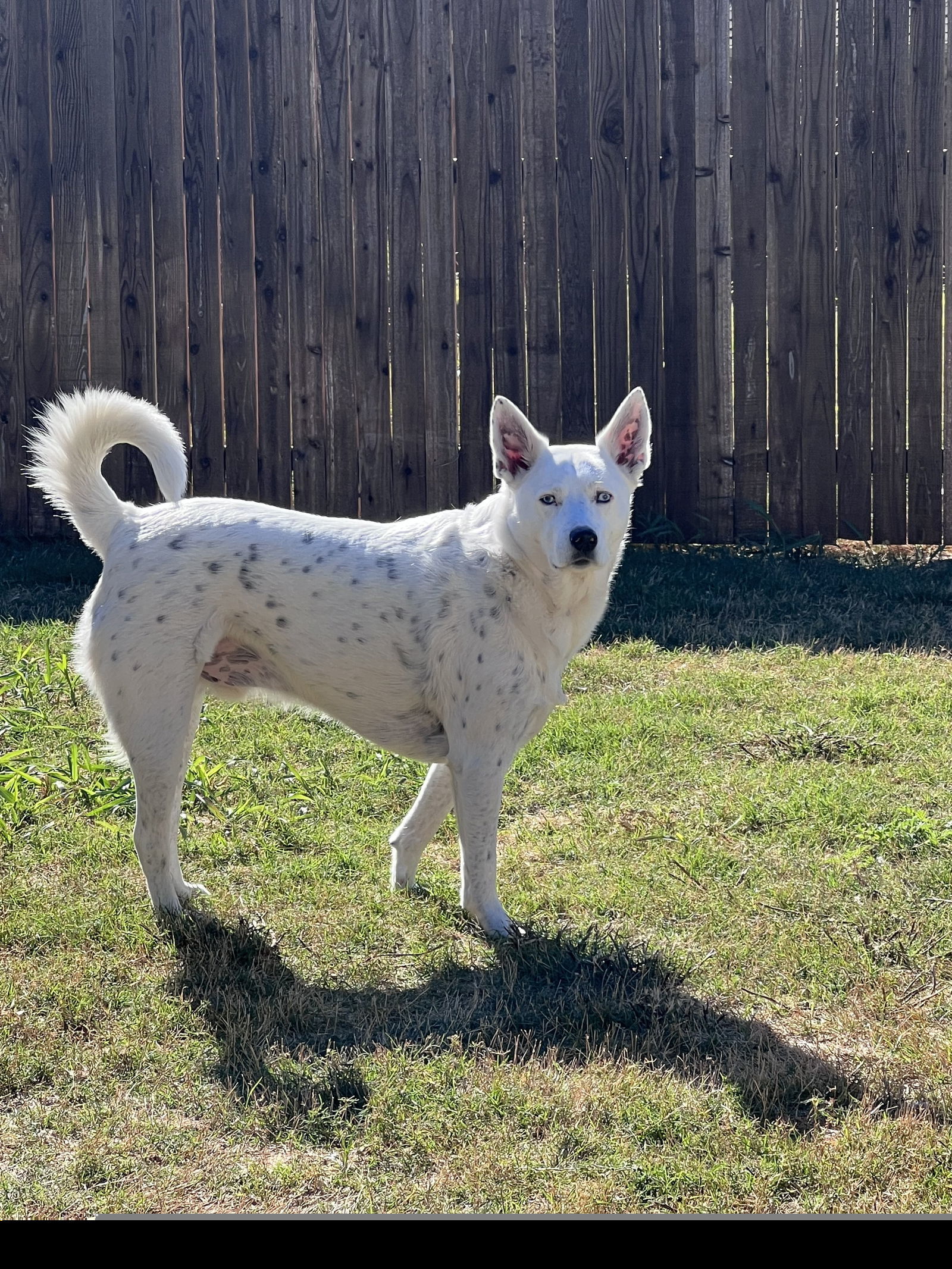 Casper I (New Digs)