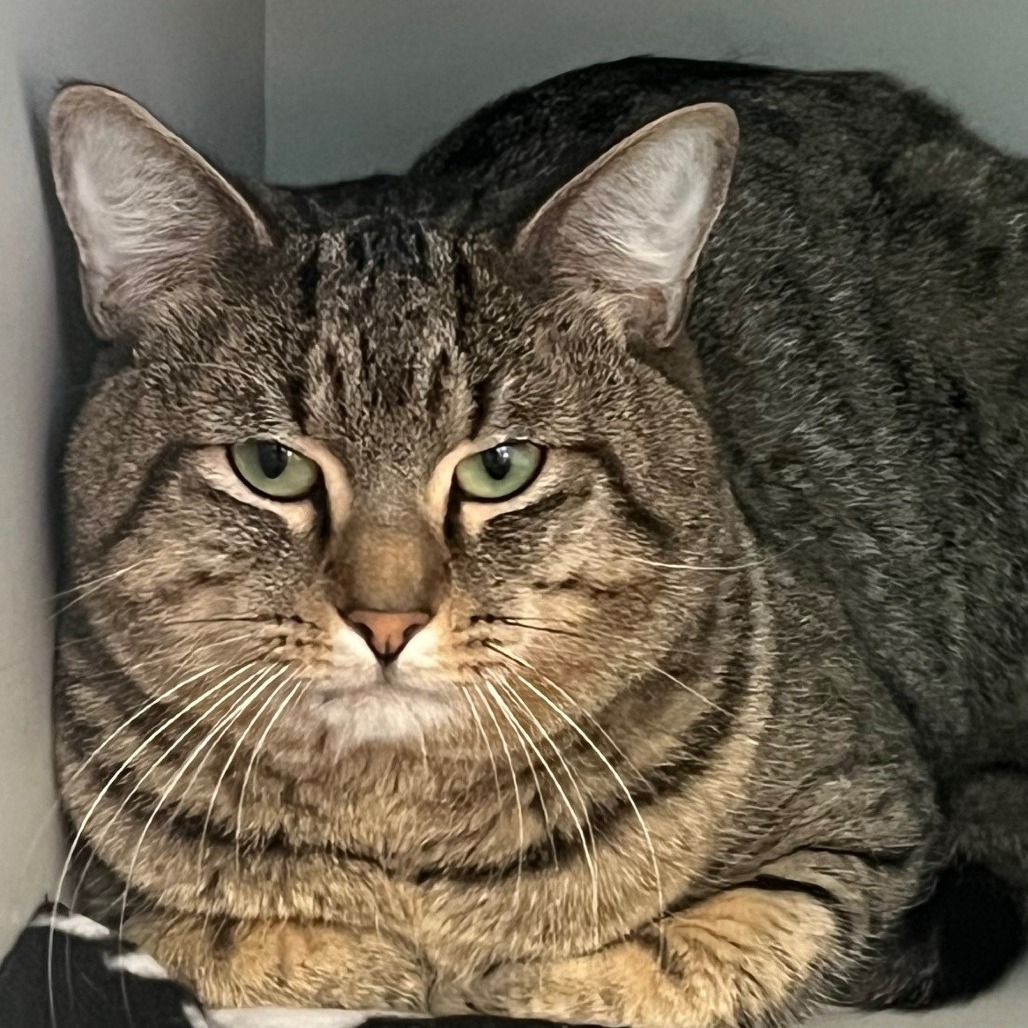 Gus