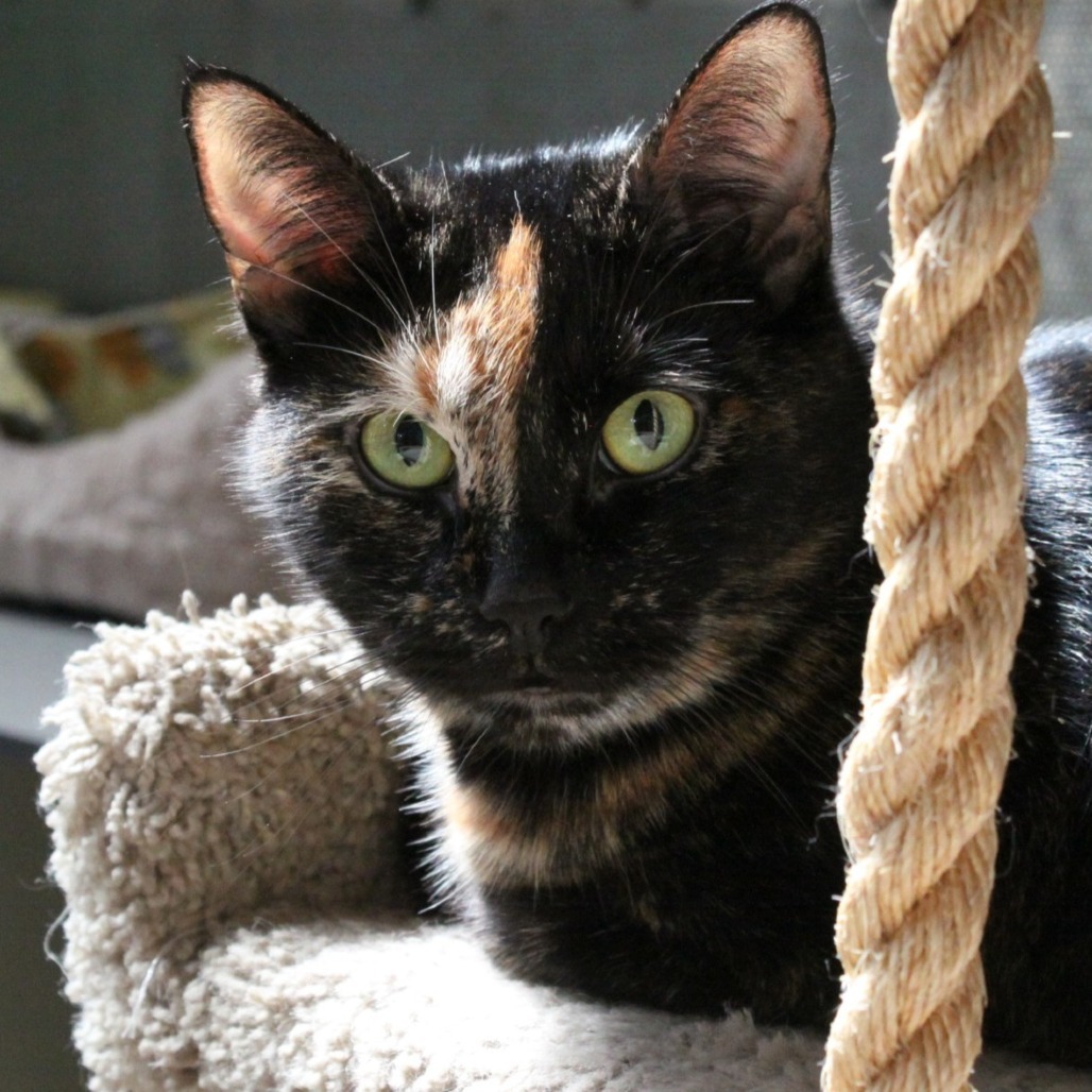 Luna