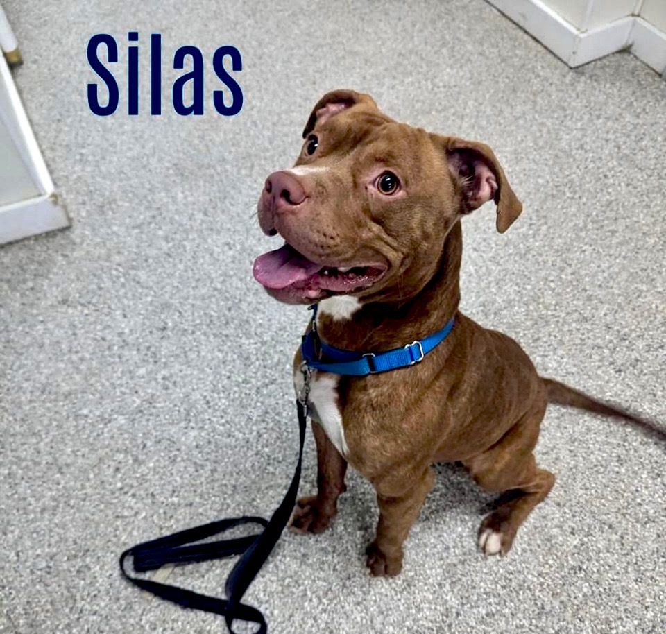 Silas