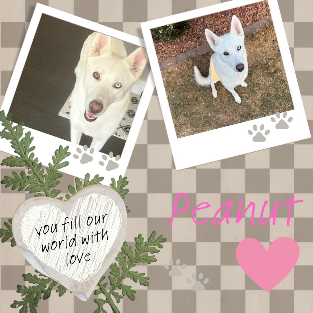 Peanut and Pepper