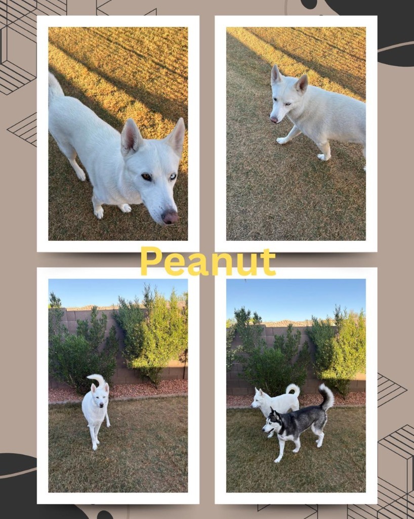 Peanut and Pepper
