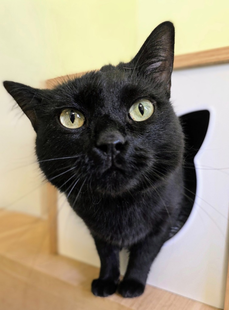 Kiki