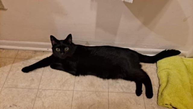 Kiki